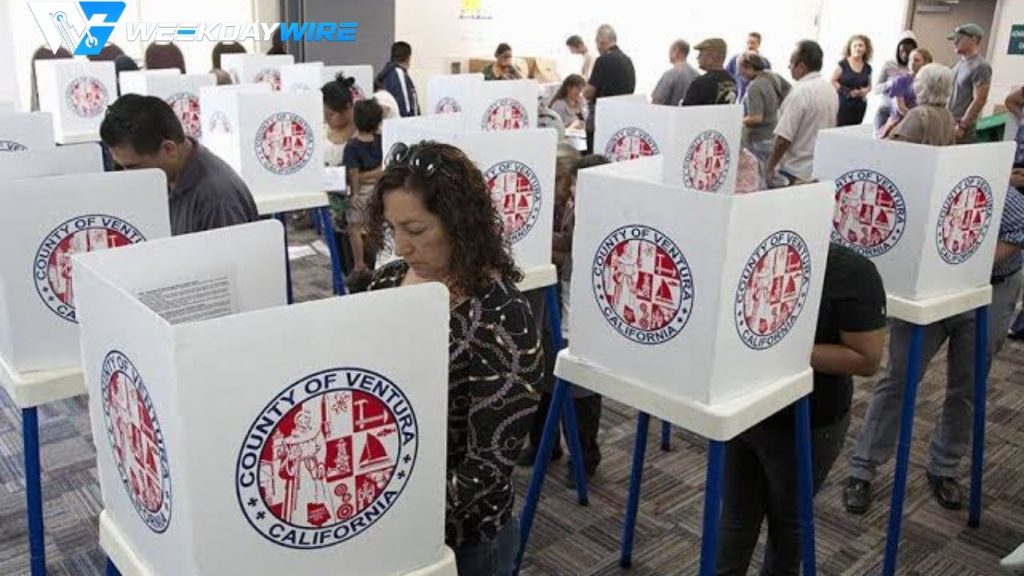 Why Voter Participation Matters in Modern Democracy